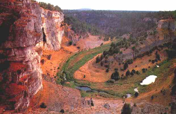 Can del Ro Lobos